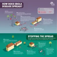 How does Ebola disease spread - infographic