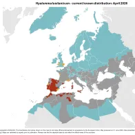 Hyalomma lusitanicum - current known distribution: April 2026.png