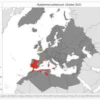 Hyalomma lusitanicum - current known distribution: October 2023
