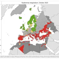 Hyalomma marginatum - current known distribution: October 2023