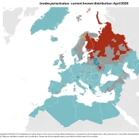 Ixodes persulcatus - current known distribution: April 2026.png