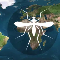 Map mosquito