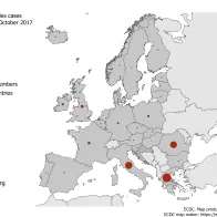 Distribution of measles cases by country, October 2017, EU/EEA countries 