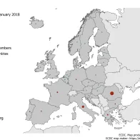 Distribution of measles deaths by country, February 2017–January 2018, EU/EEA countries