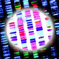 Molecular and genomic typing. © Istock