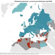 Phlebotomus alexandri - current known distribution: October 2023