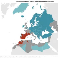 Phlebotomus ariasi - current known distribution: April 2026