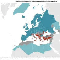 Phlebotomus neglectus - current known distribution: April 2026