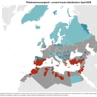 Phlebotomus sergenti - current known distribution: April 2026
