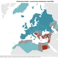 Phlebotomus tobbi - current known distribution: April 2026