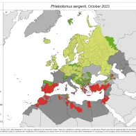 Phlebotomus sergenti - current known distribution: October 2023