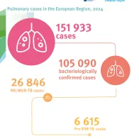 Infographic: Pulmonary TB cases in the European Region, 2024