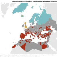 Rhipicephalus sanguineus - current known distribution: April 2026.png