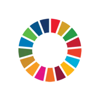 SDG logo wheel