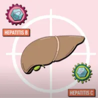 Hepatitis B and C: Detect. Treat. Prevent.