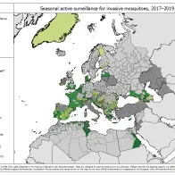 Seasonal active surveillance for invasive mosquitoes over 2017–2019