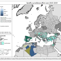 Sandfly surveillance effort over 2015–2019