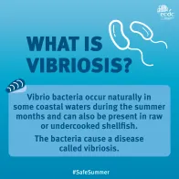 What is vibriosis?