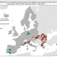 West Nile virus outbreaks among humans and animals in the European Union, 2019 transmission season
