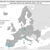 West Nile virus outbreaks among equids and birds, 2020 transmission season