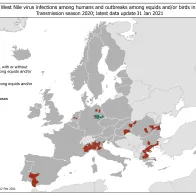 West Nile virus outbreaks among humans and animals, 2020 transmission season