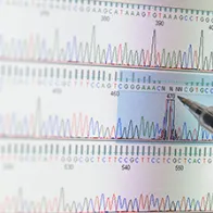 Whole gnome sequencing. © Istock