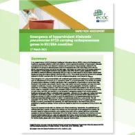 Cover of the RRA on Emergence of hypervirulent Klebsiella pneumoniae ST23 carrying carbapenemase genes in EU/EEA countries