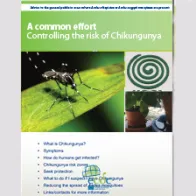 Cover of Chikungunya brochure for the general public