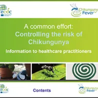Cover of Chikungunya presentation for healthcare practitioners