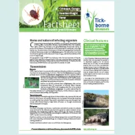 Cover of the factsheet about Crimean-Congo haemorrhagic fever for health practitioners