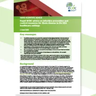 Cover of the report: "Rapid ECDC advice on infection prevention and control measures for Ebola disease in EU/EEA healthcare settings"