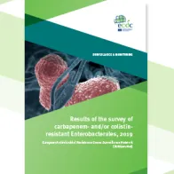 Cover of the report: "Results of the survey of carbapenem- and/or colistinresistant Enterobacterales, 2019"