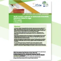 Cover of the report: Multi-country outbreak of Salmonella Enteritidis infections linked to eggs