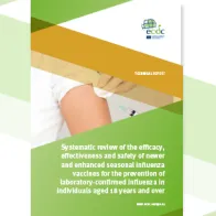 Cover of the report: "Systematic review of the efficacy, effectiveness and safety of newer and enhanced seasonal influenza vaccines"
