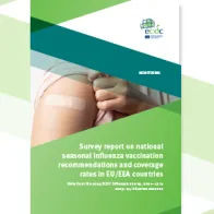 Cover of the report: "Survey report on national seasonal influenza vacciination"