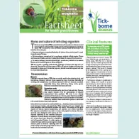 Cover of the factsheet about tick-borne encephalitis for health practitioners