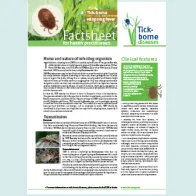 Cover of the factsheet on tick-borne relapsing fever for health practitioners