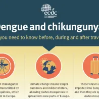 Screenshot mosquito-borne diseases infographic