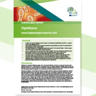 diph_AER_2023_Report-cover