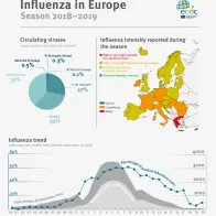 This infographic summarises the influenza season 2018-2019.