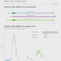 Weekly respiratory virus update, week 45, November 2025