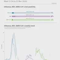 Weekly respiratory virus update, week 12, March 2026