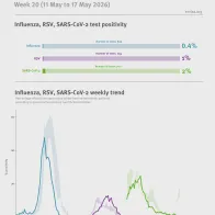 Weekly respiratory virus update, week 20, May 2026