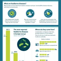 What’s really making you sick? page 1