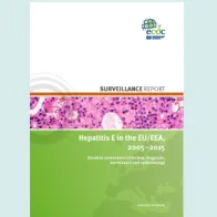 Cover of hepatitis E surveillance report