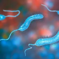 Vibriosis