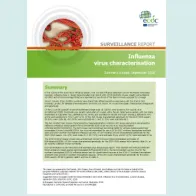 Cover of the influenza virus characterisation, September 2017
