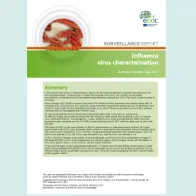 Cover of the influenza virus characterisation, July 2017