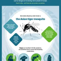 Infographic on the risk of imported mosquito-borne diseases spreading in Europe.