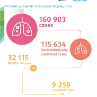 Pulmonary TB cases in the European Region, 2022
